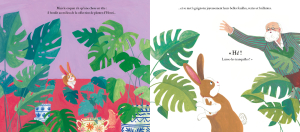 LAPIN-MATISSE-INT4